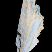 Kyanite fanned blade crystal cluster 105*60*30mm 227g in sunlight - Rocks and Things Store