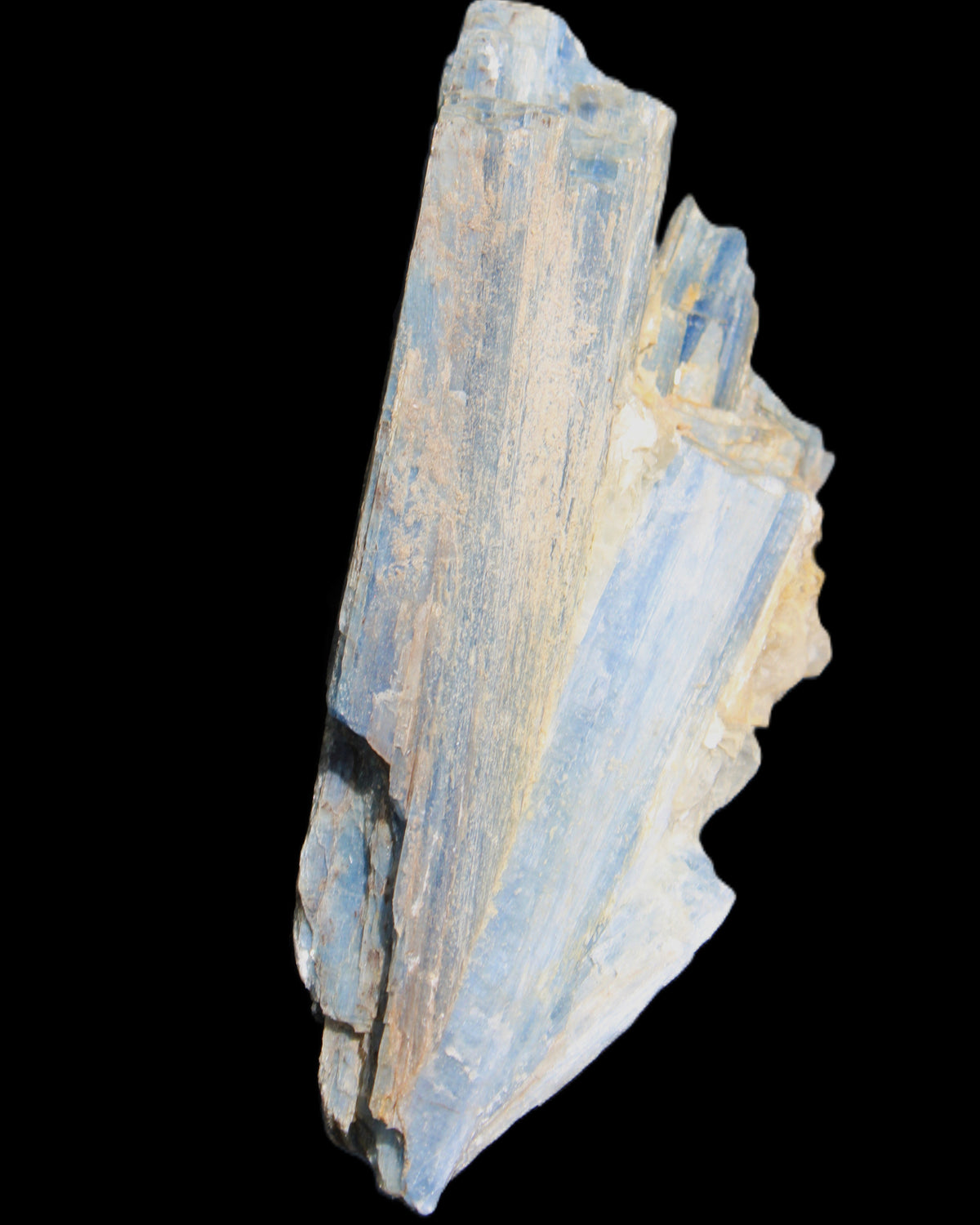 Kyanite fanned blade crystal cluster 105*60*30mm 227g in sunlight - Rocks and Things Store