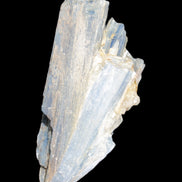 Kyanite fanned blade crystal cluster 105*60*30mm 227g in sunlight - Rocks and Things Store