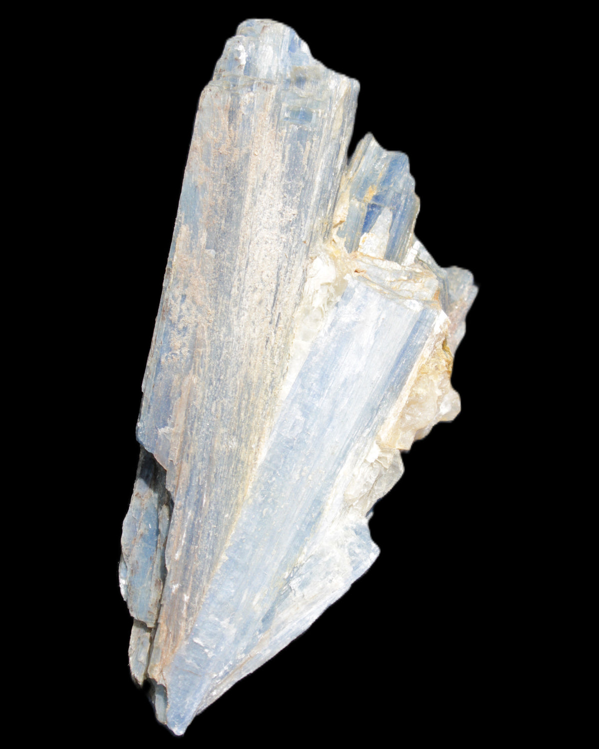 Kyanite fanned blade crystal cluster 105*60*30mm 227g in sunlight - Rocks and Things Store