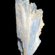 Kyanite fanned blade crystal cluster 105*60*30mm 227g in sunlight - Rocks and Things Store