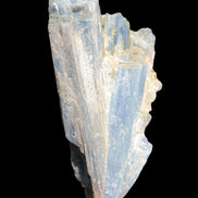 Kyanite fanned blade crystal cluster 105*60*30mm 227g in sunlight - Rocks and Things Store