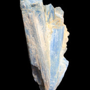 Kyanite fanned blade crystal cluster 105*60*30mm 227g in sunlight - Rocks and Things Store