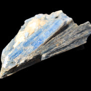Kyanite fanned blade crystal cluster 105*60*30mm 227g in sunlight - Rocks and Things Store