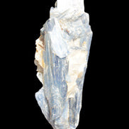 Kyanite fanned blade crystal cluster 105*60*30mm 227g in sunlight - Rocks and Things Store