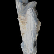 Kyanite fanned blade crystal cluster 105*60*30mm 227g in sunlight - Rocks and Things Store