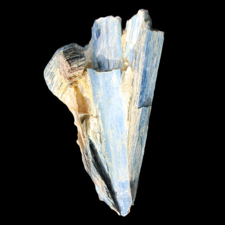 Kyanite fanned blade crystal cluster 95*54*57mm 252g in sunlight - Rocks and Things Store