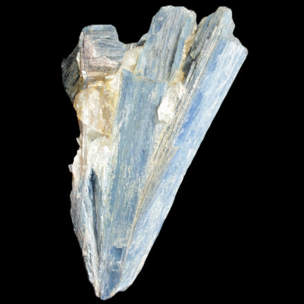 Kyanite fanned blade crystal cluster 95*54*57mm 252g in sunlight - Rocks and Things Store