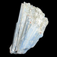 Kyanite fanned blade crystal cluster 95*54*57mm 252g in sunlight - Rocks and Things Store