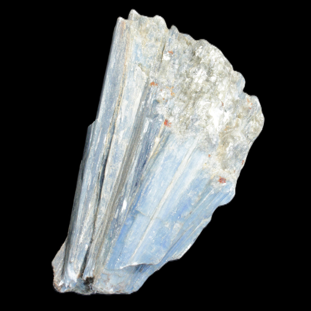 Kyanite fanned blade crystal cluster 95*54*57mm 252g in sunlight - Rocks and Things Store