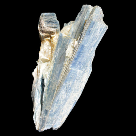Kyanite fanned blade crystal cluster 95*54*57mm 252g in sunlight - Rocks and Things Store