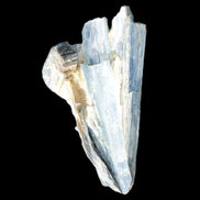 Kyanite fanned blade crystal cluster 95*54*57mm 252g in sunlight - Rocks and Things Store