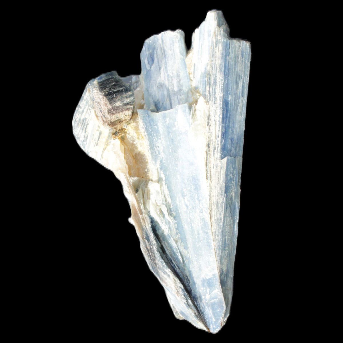 Kyanite fanned blade crystal cluster 95*54*57mm 252g in sunlight - Rocks and Things Store