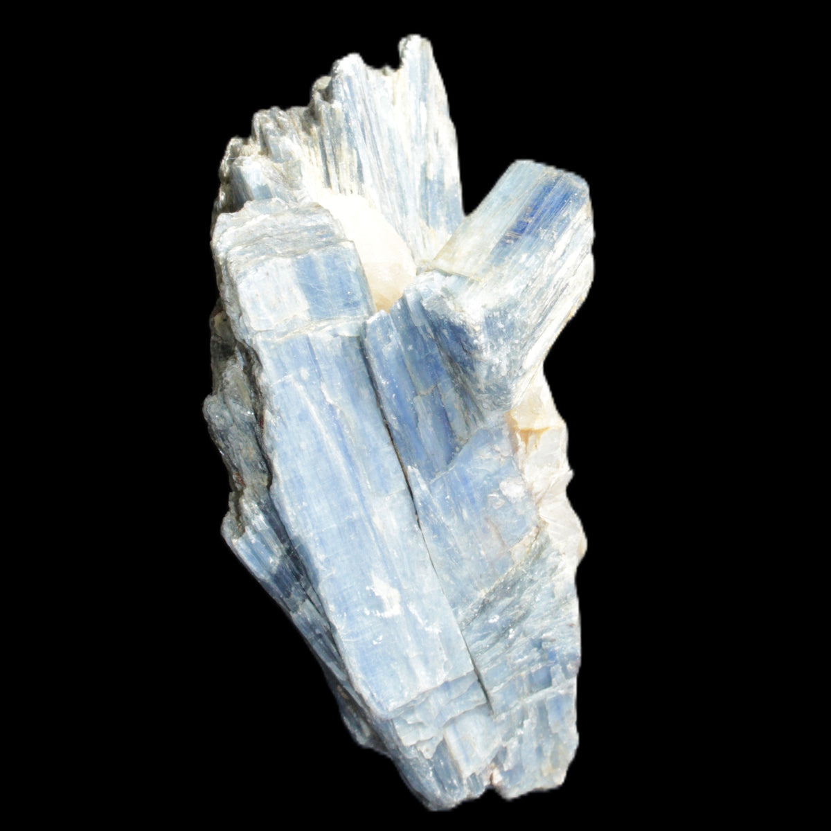 Kyanite fanned blade crystal cluster 95*54*57mm 252g in sunlight - Rocks and Things Store