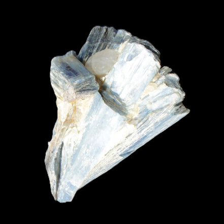 Kyanite fanned blade crystal cluster 95*54*57mm 252g in sunlight - Rocks and Things Store