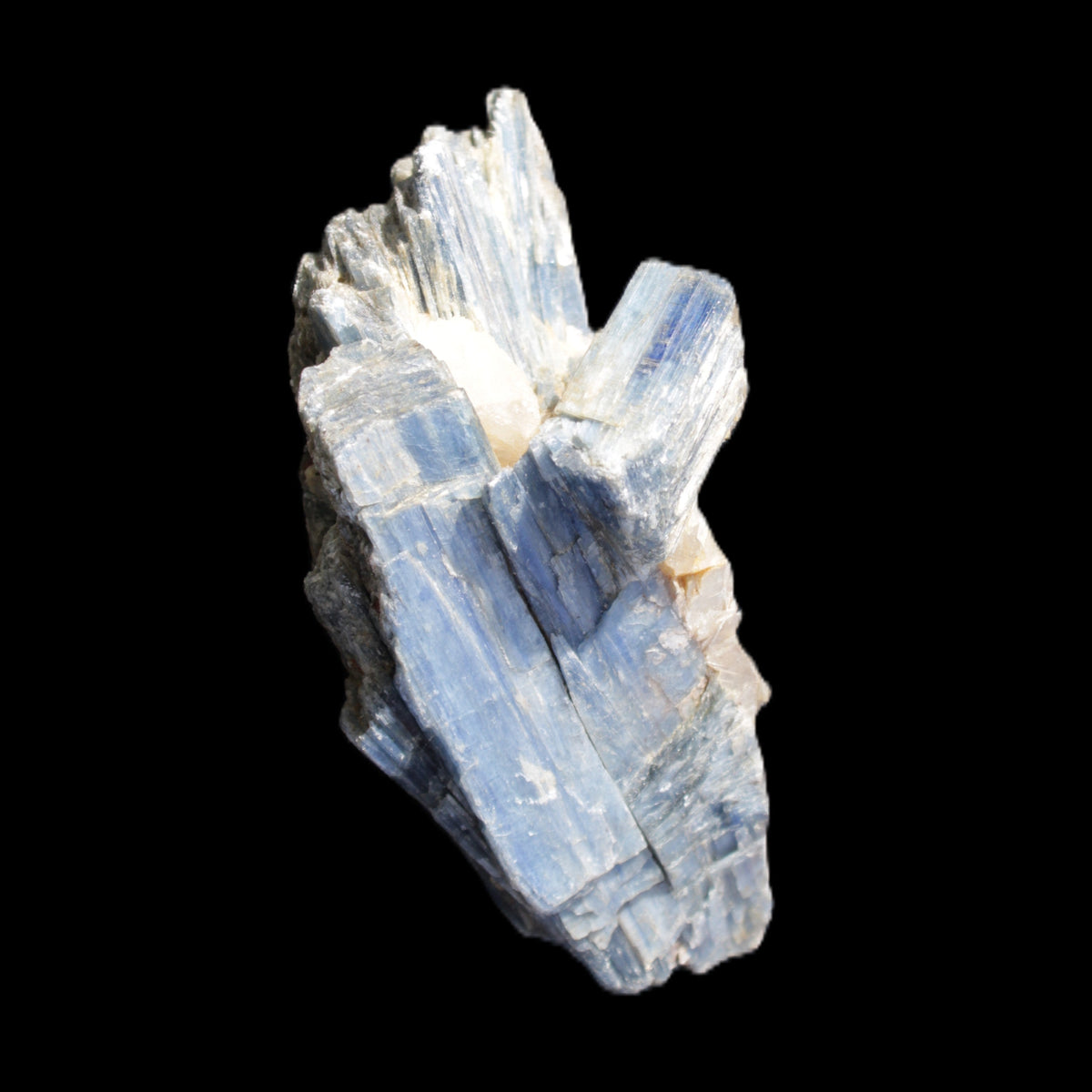 Kyanite fanned blade crystal cluster 95*54*57mm 252g in sunlight - Rocks and Things Store