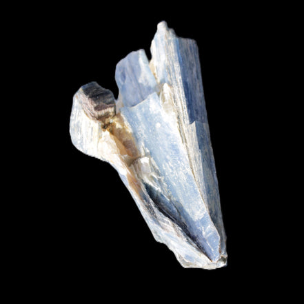 Kyanite fanned blade crystal cluster 95*54*57mm 252g in sunlight - Rocks and Things Store