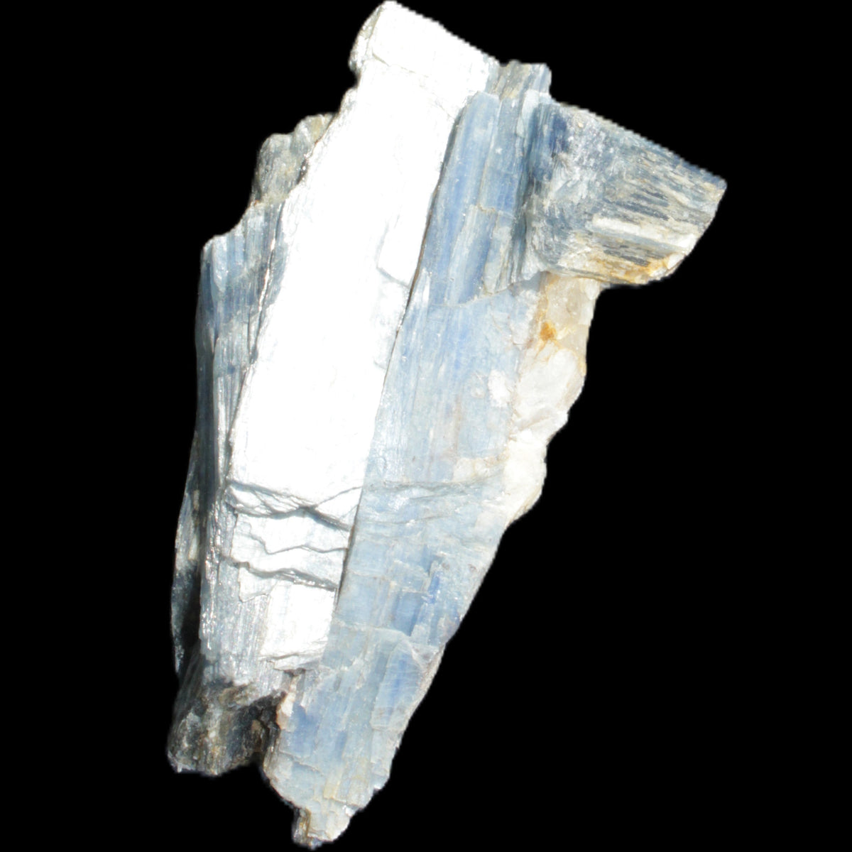 Kyanite fanned blade crystal cluster 95*54*57mm 252g in sunlight - Rocks and Things Store