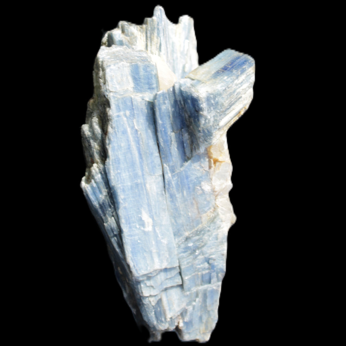 Kyanite fanned blade crystal cluster 95*54*57mm 252g in sunlight - Rocks and Things Store