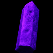 Apatite wand 22*18*69m 54g in UV light - Rocks and Things Store