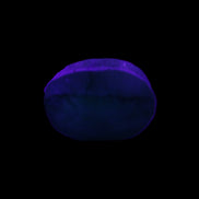 Green Emerald Oval cut from Columbia 7m 11ct 2g in UV light - Rocks and Things Store