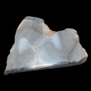 Blue  Flower Agate slice 58*38*17m 55g in sunlight - Rocks and Things Store