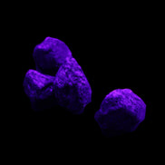 Sapphire corundum 4-6 rough crystals 8-9g in UV light - Rocks and Things Store