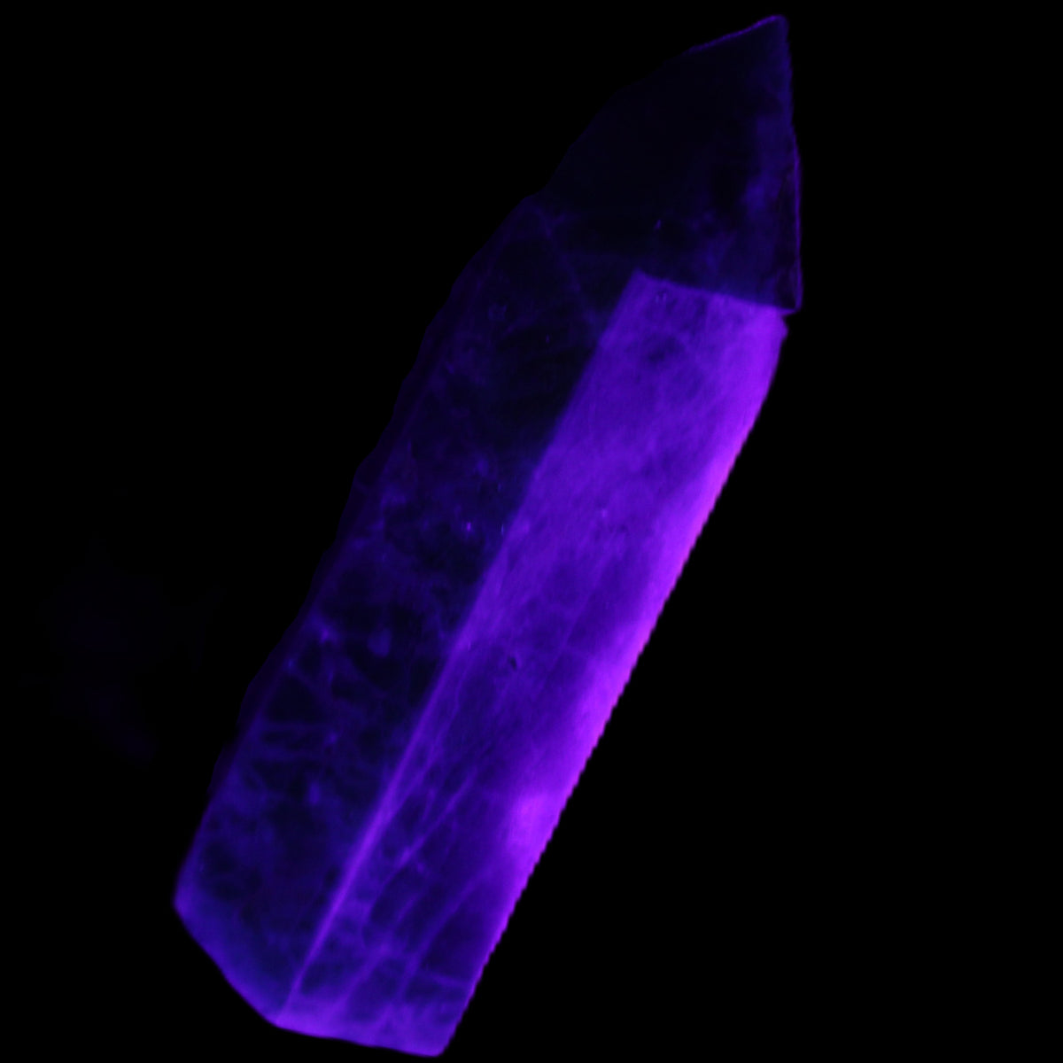 Apatite wand 24*19*64mm 55g in UV light - Rocks and Things Store