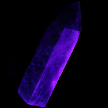 Apatite wand 24*19*64mm 55g in UV light - Rocks and Things Store