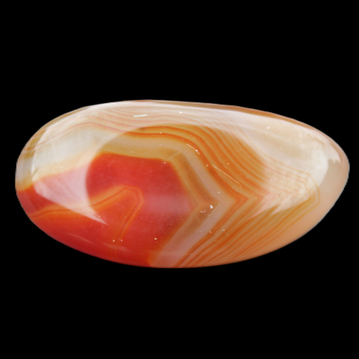Crazy Lace Agate 48*24*14mm 25g in sunlight - Rocks and Things Store