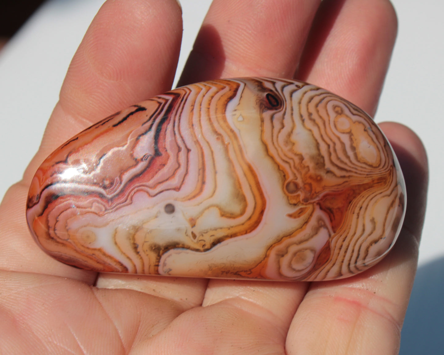 Crazy Lace Silk Banded Agate tumbled stone from Madagascar 59.1g Rocks and Things