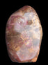 Petrified Wood from Madagascar 2530g Rocks and Things
