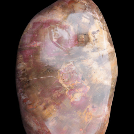 Petrified Wood from Madagascar 2530g in sunlight - Rocks and Things Store