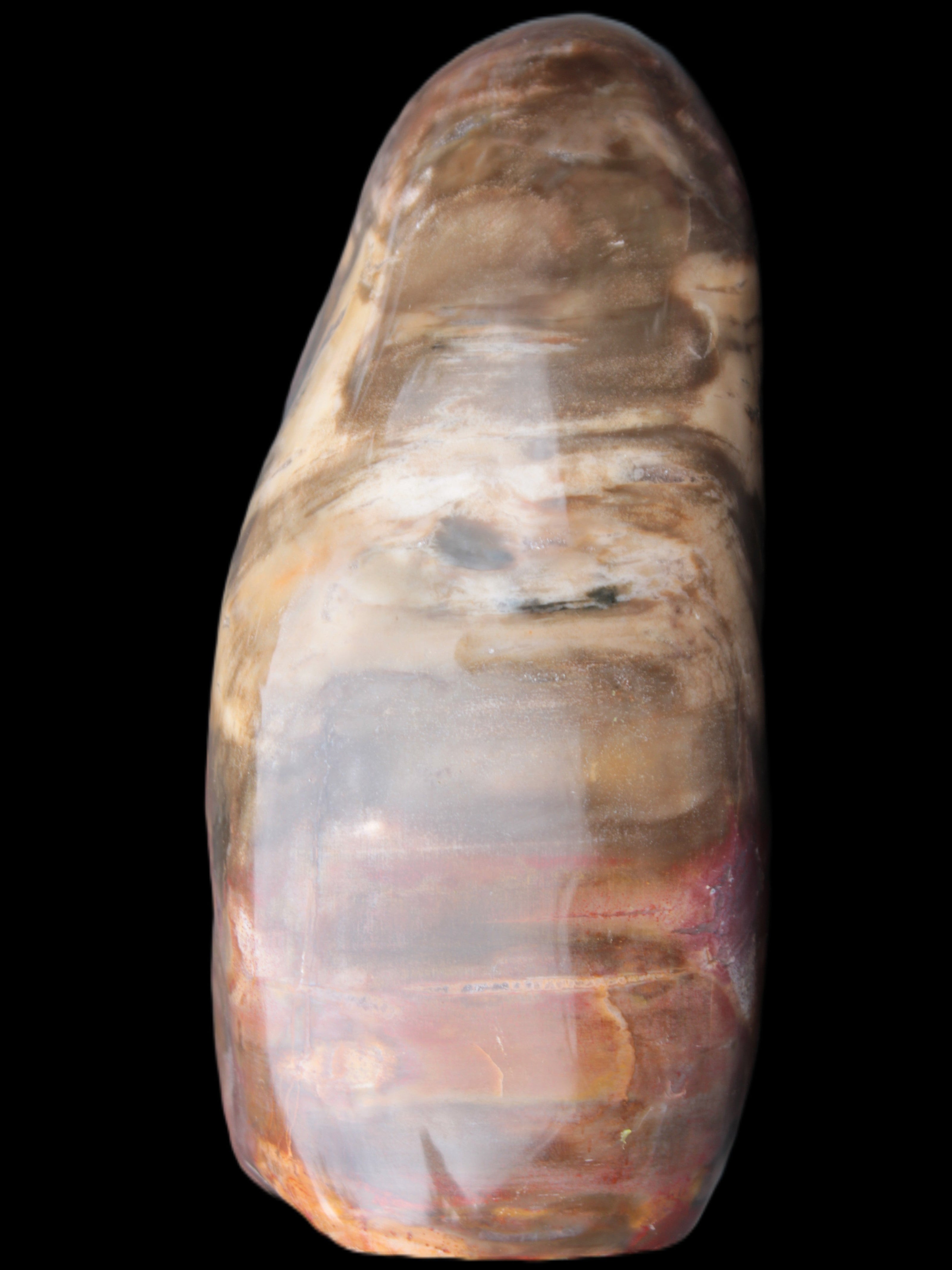 Petrified Wood from Madagascar 2530g Rocks and Things