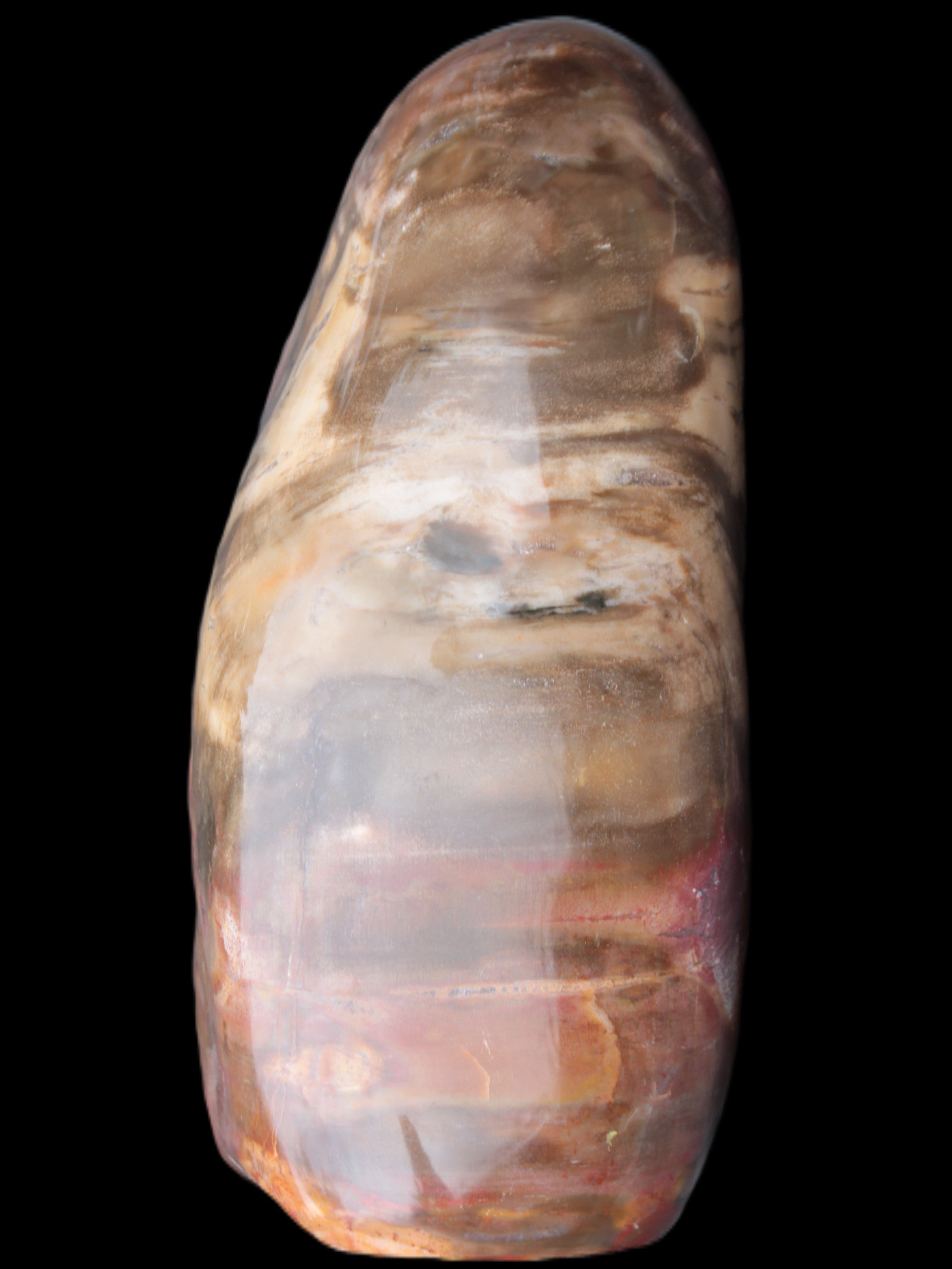 Petrified Wood from Madagascar 2530g Rocks and Things