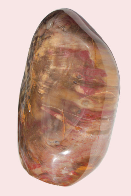 Petrified Wood from Madagascar 2530g Rocks and Things