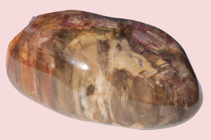 Petrified Wood from Madagascar 2530g Rocks and Things