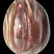 Petrified Wood Fossil egg from Madagascar 247g in sunlight - Rocks and Things Store