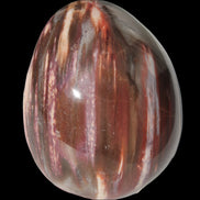 Petrified Wood Fossil egg from Madagascar 247g Rocks and Things