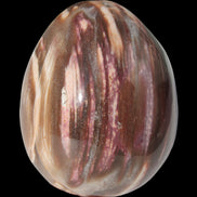 Petrified Wood Fossil egg from Madagascar 247g in sunlight - Rocks and Things Store