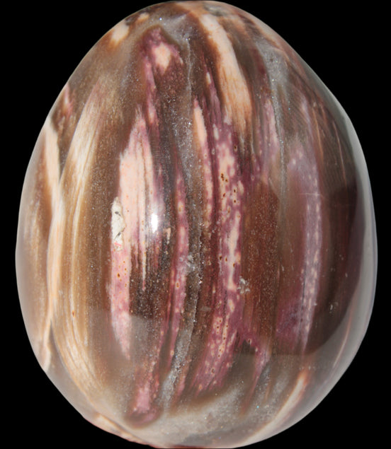 Petrified Wood Fossil egg from Madagascar 247g in sunlight - Rocks and Things Store