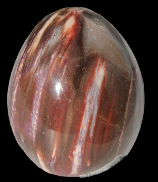 Petrified Wood Fossil egg from Madagascar 247g in sunlight - Rocks and Things Store