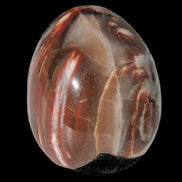 Petrified Wood Fossil egg from Madagascar 247g in sunlight - Rocks and Things Store