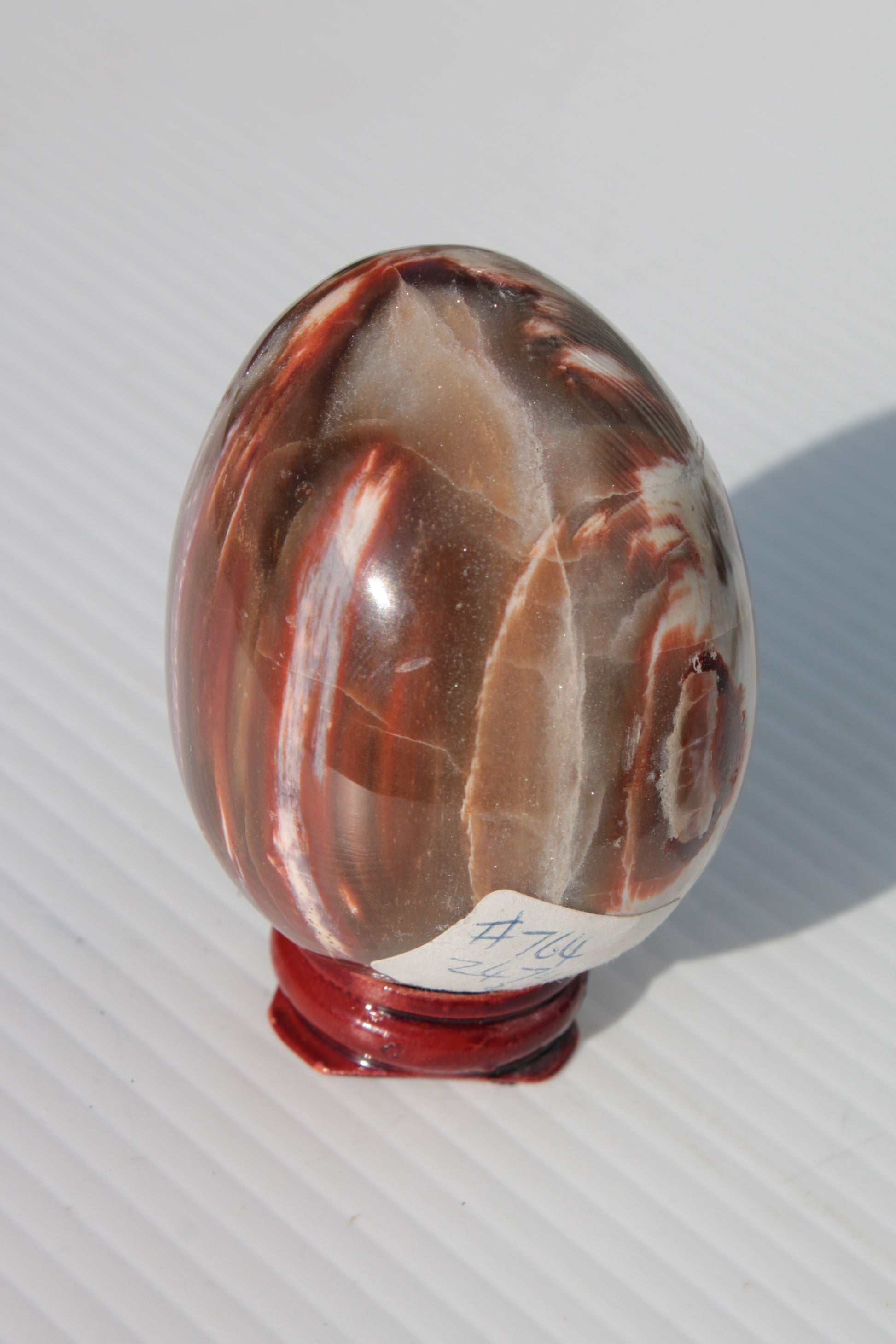 Petrified Wood Fossil egg from Madagascar 247g Rocks and Things