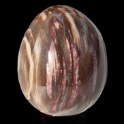 Petrified Wood Fossil egg from Madagascar 247g in sunlight - Rocks and Things Store