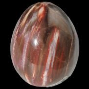 Petrified Wood Fossil egg from Madagascar 247g in sunlight - Rocks and Things Store