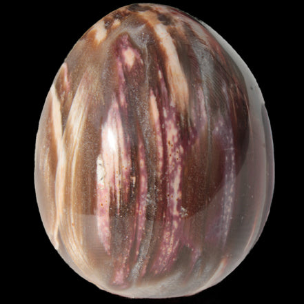 Petrified Wood Fossil egg from Madagascar 247g in sunlight - Rocks and Things Store