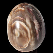 Petrified Wood Fossil egg from Madagascar 247g in sunlight - Rocks and Things Store