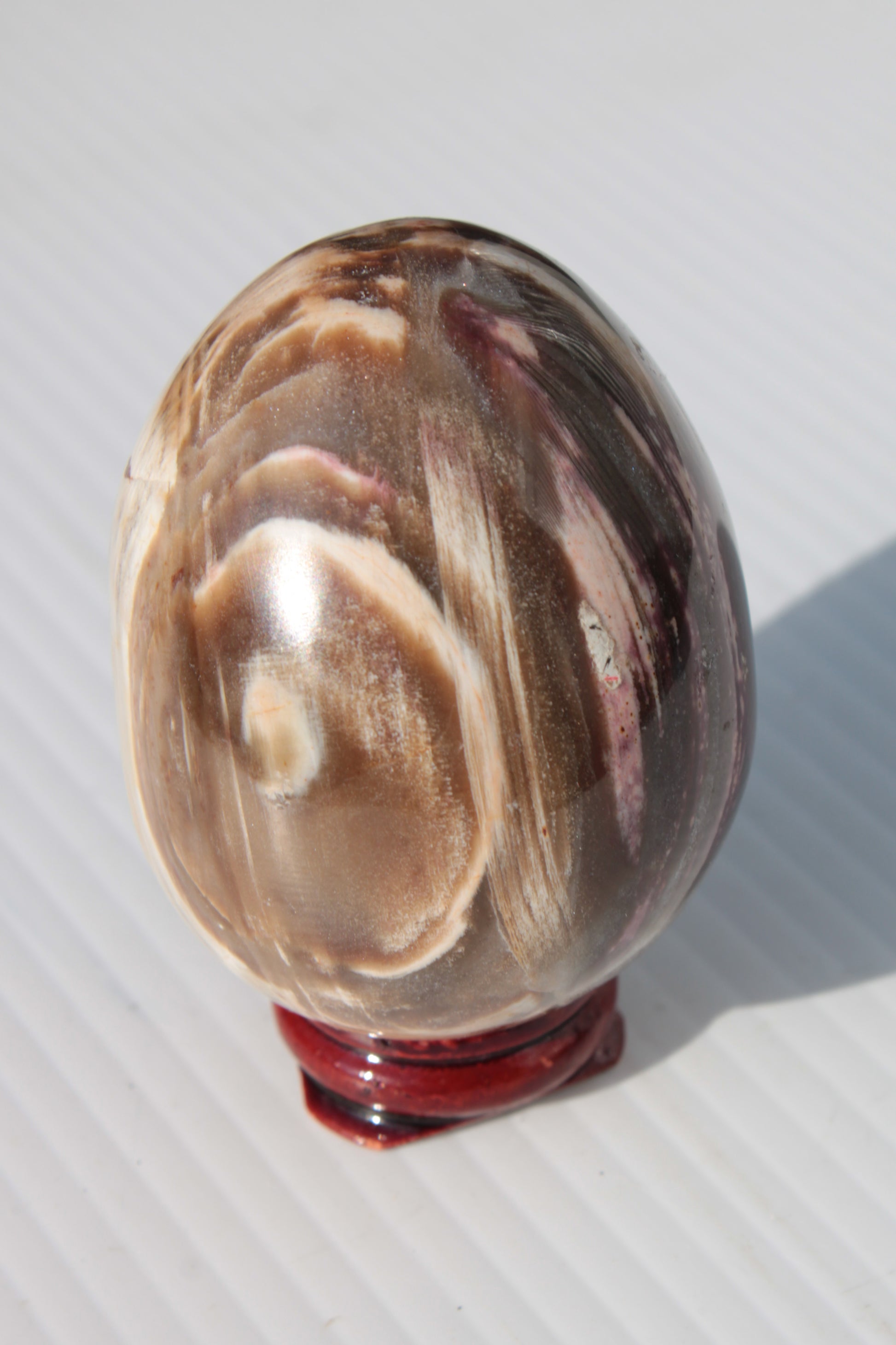 Petrified Wood Fossil egg from Madagascar 247g Rocks and Things