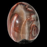 Petrified Wood Fossil egg from Madagascar 247g in sunlight - Rocks and Things Store